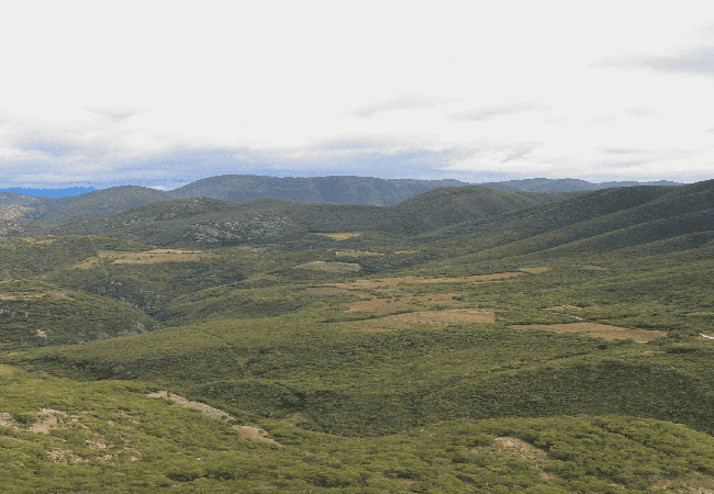 Vista panorámica de HIERVE EL AGUA